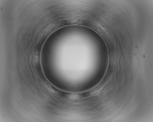 X0000088710085200705311408