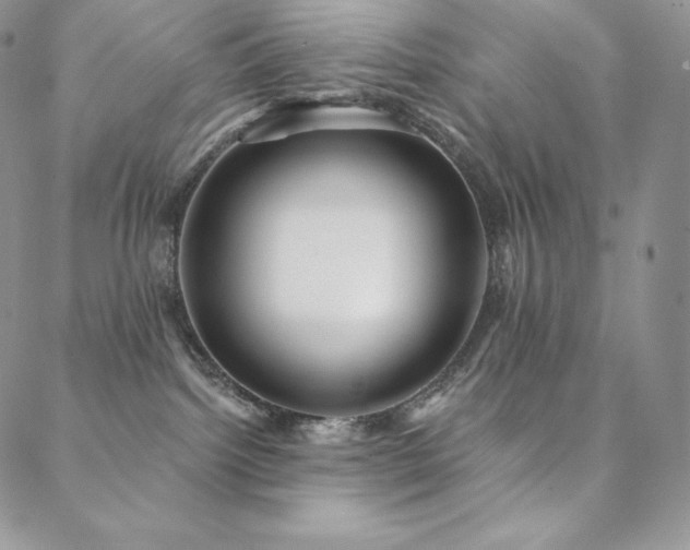 X0000088710092200705311408