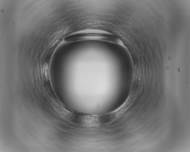 X0000088710094200705311408