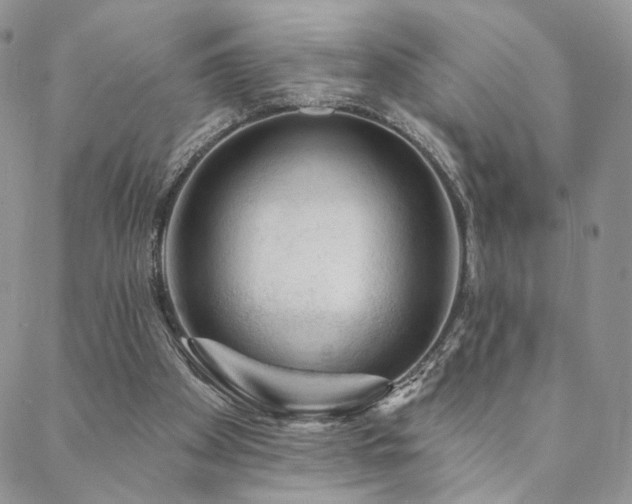 X0000088710105200705311407