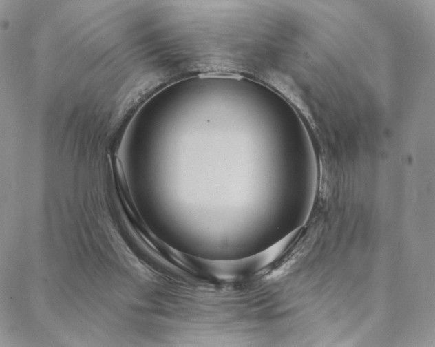 X0000088710109200705311407