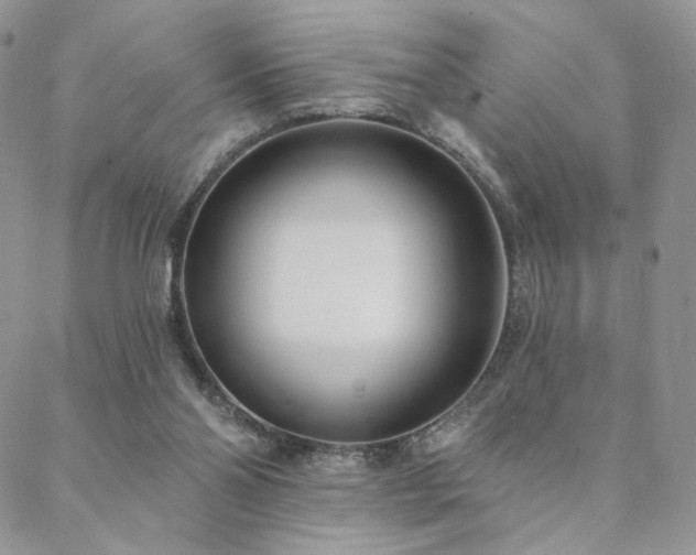 X0000088710110200705311407