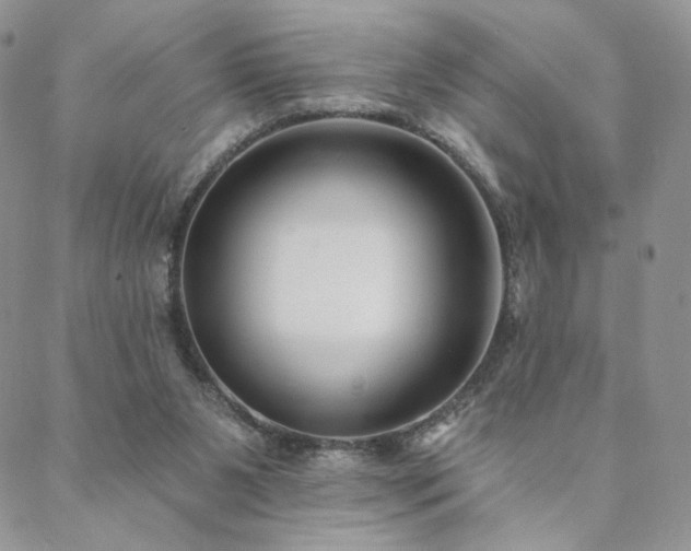 X0000088710111200705311407
