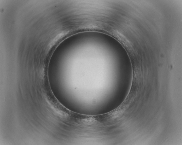 X0000088710112200705311407
