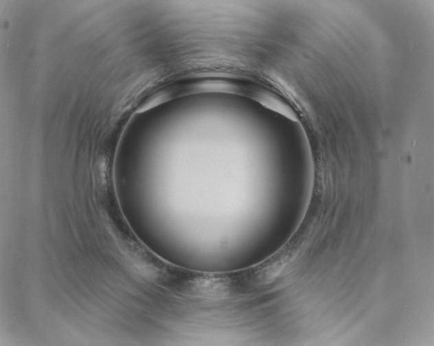 X0000088710117200705311407