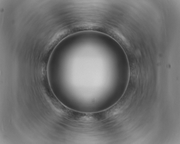 X0000088710119200705311407