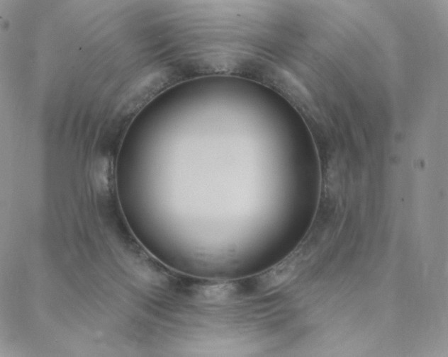 X0000088710122200705311407
