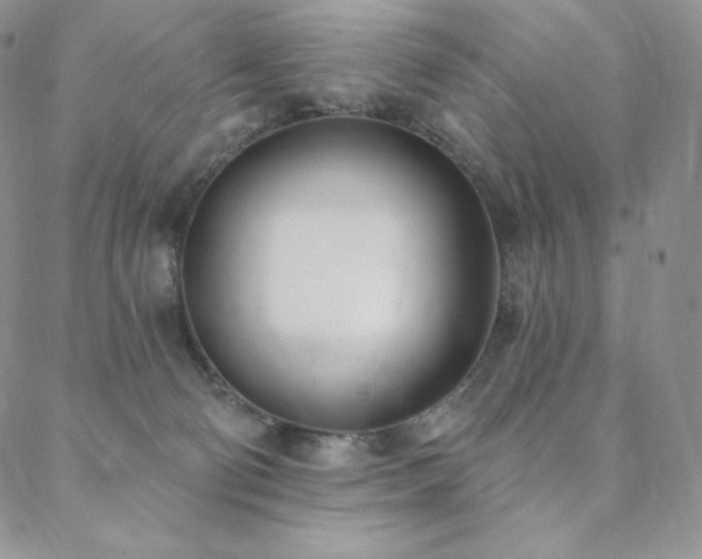 X0000088710130200705311407