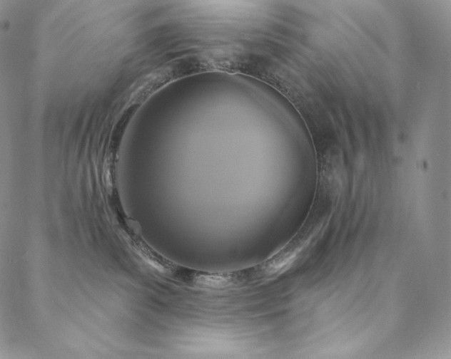 X0000088710139200705311407