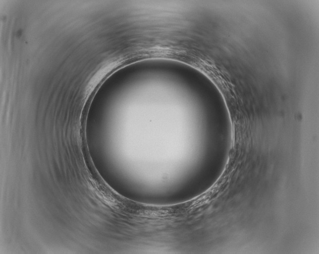 X0000088710147200705311406