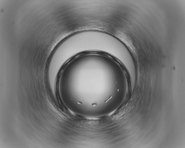X0000088710156200705311406