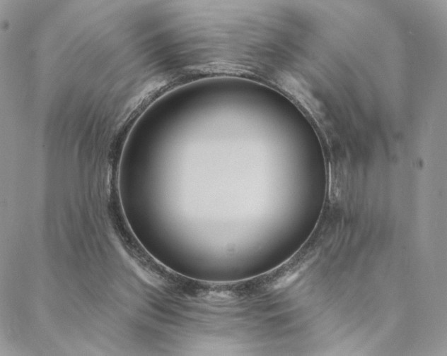 X0000088710157200705311406