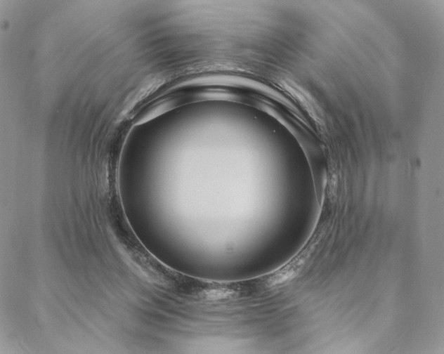 X0000088710158200705311406