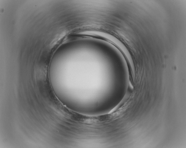 X0000088710168200705311406