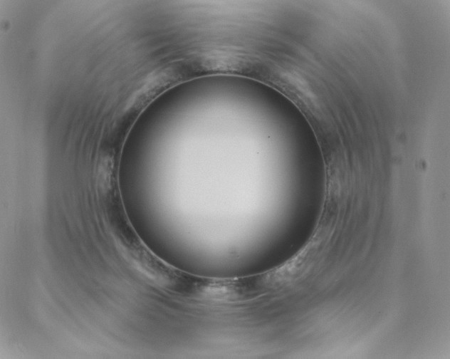X0000088710171200705311406