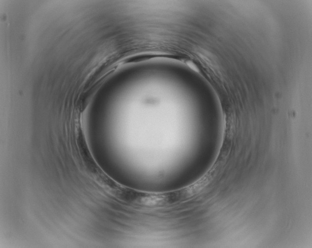 X0000088710172200705311407