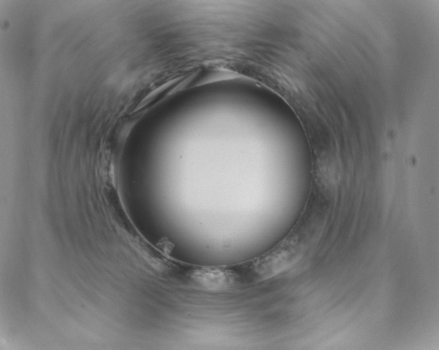 X0000088710181200705311407