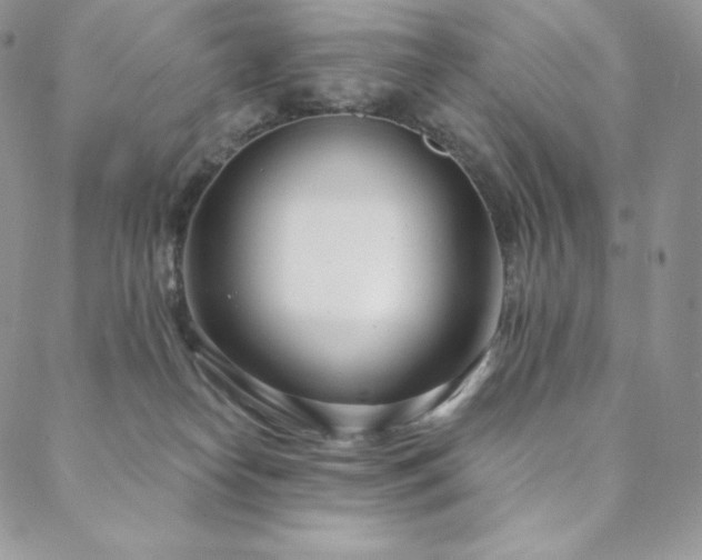 X0000088710182200705311407