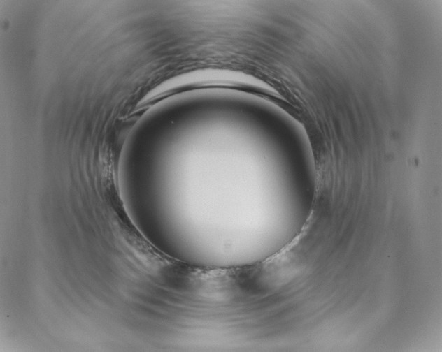 X0000088710186200705311407