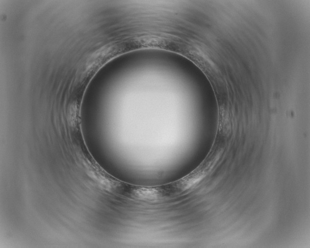 X0000088710189200705311407