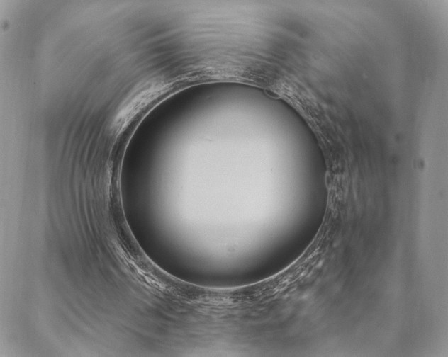 X0000088710194200705311406