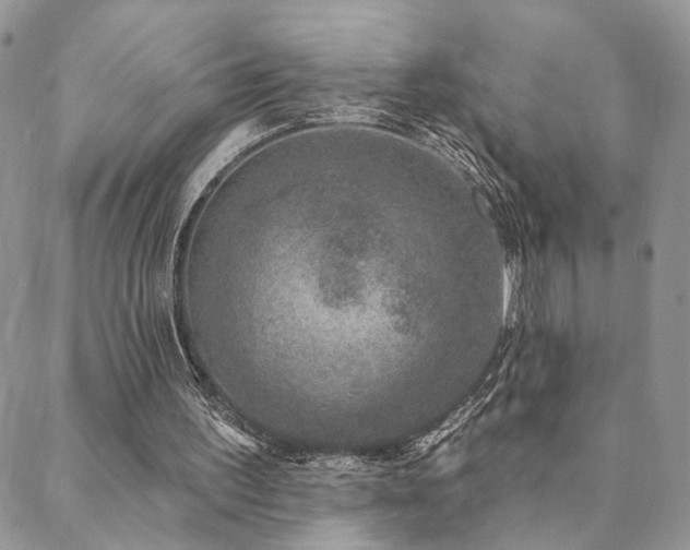X0000088710195200705311406