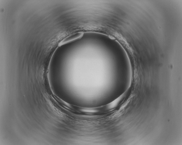X0000088710201200705311406