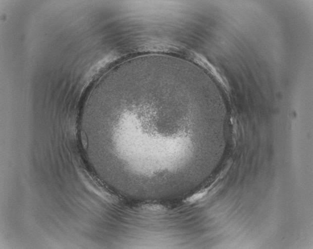 X0000088710203200705311406