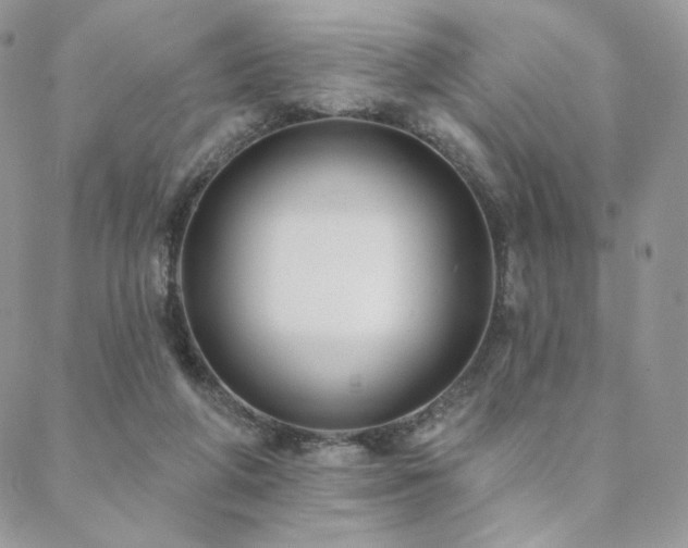 X0000088710210200705311406