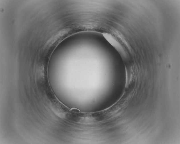 X0000088710212200705311406