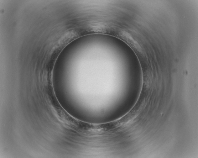 X0000088710213200705311406
