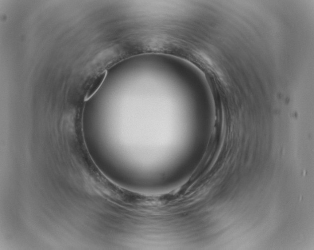 X0000088710217200705311406