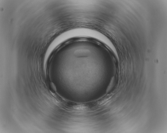 X0000088710219200705311406