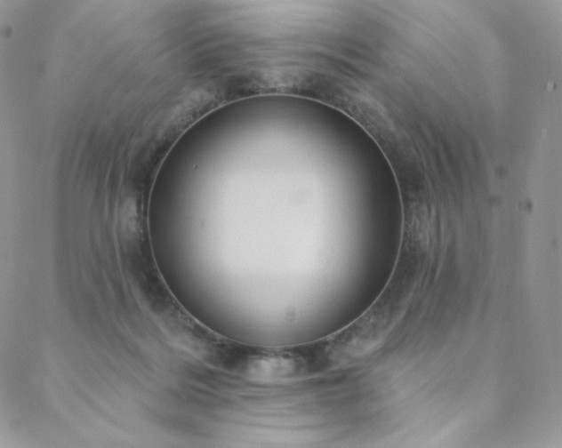 X0000088710220200705311406