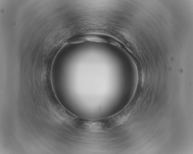 X0000088710221200705311406