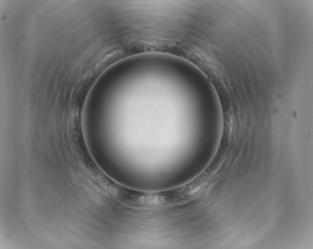 X0000088710225200705311406