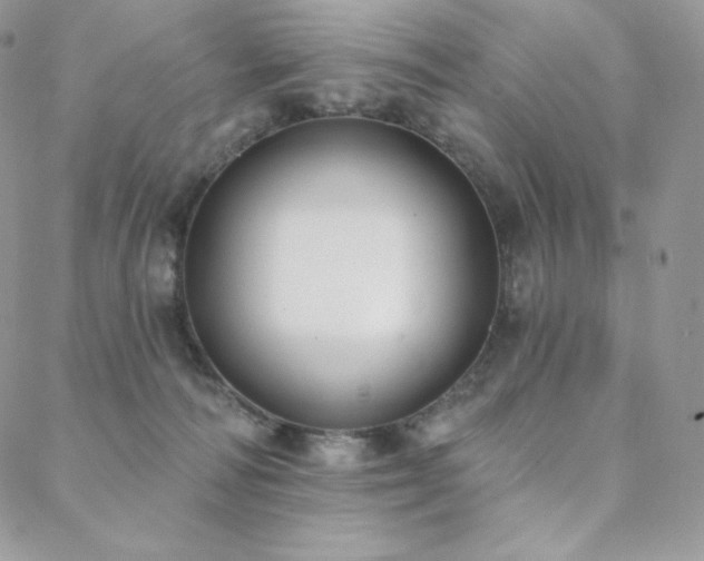 X0000088710226200705311406