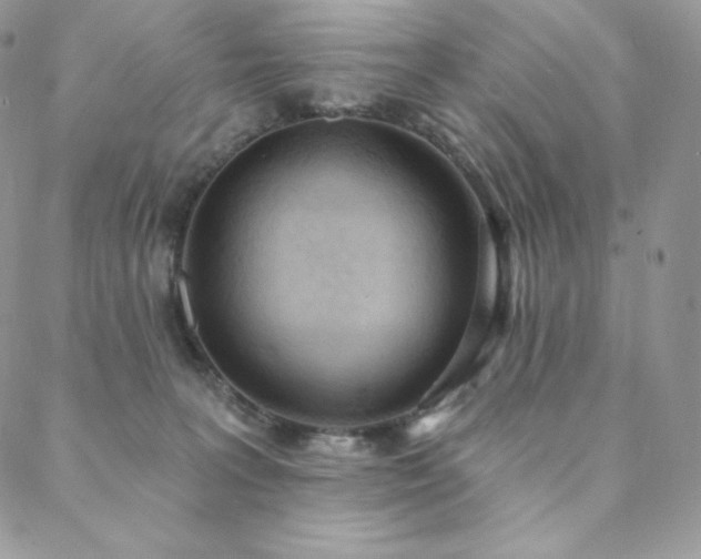 X0000088710227200705311406