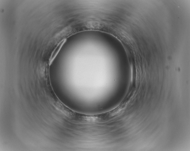 X0000088710233200705311405