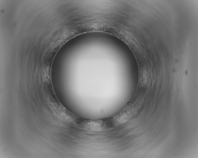 X0000088710236200705311405