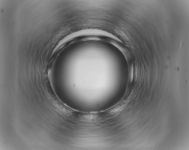 X0000088710237200705311405