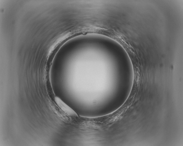X0000088710244200705311405
