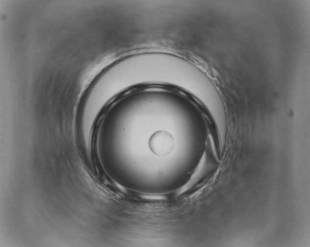 X0000088710248200705311405