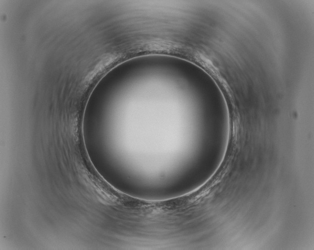X0000088710249200705311405