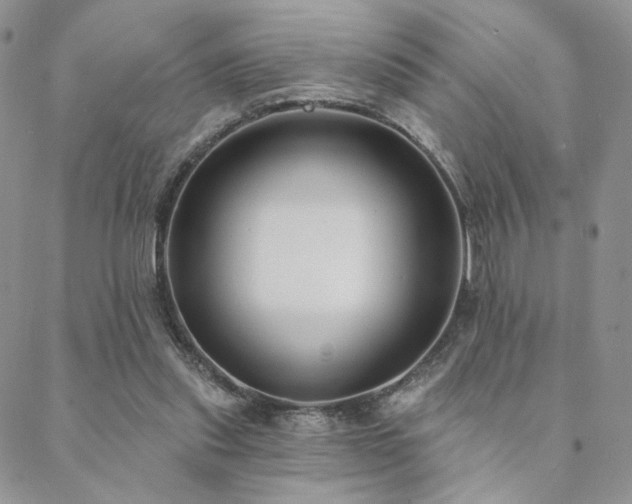 X0000088710253200705311405