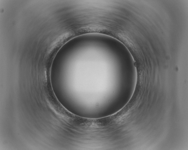 X0000088710254200705311405