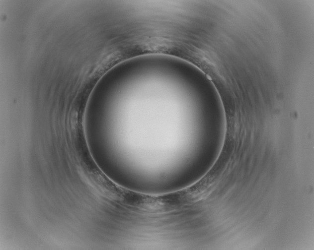 X0000088710263200705311405