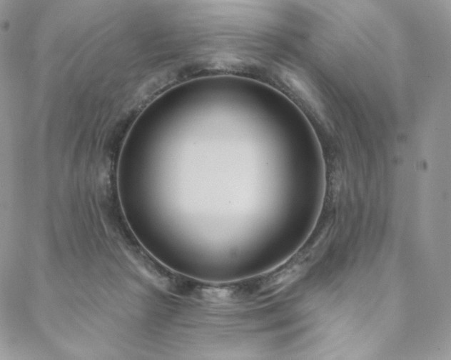 X0000088710265200705311405