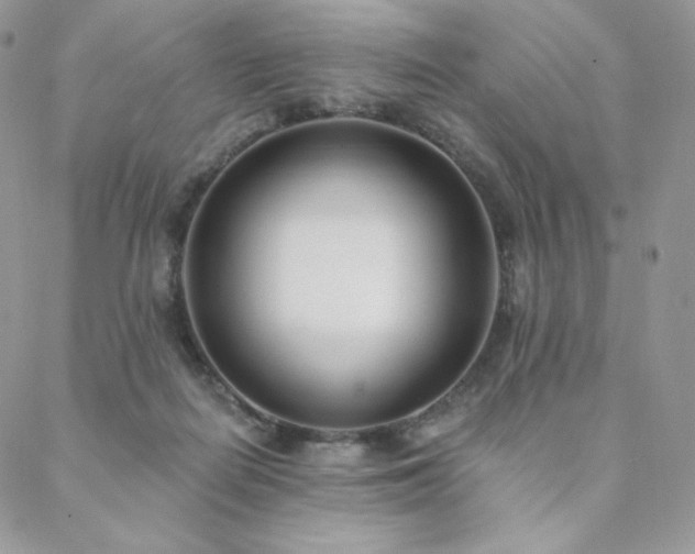 X0000088710266200705311405