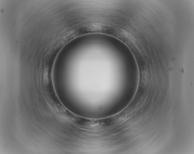 X0000088710267200705311405